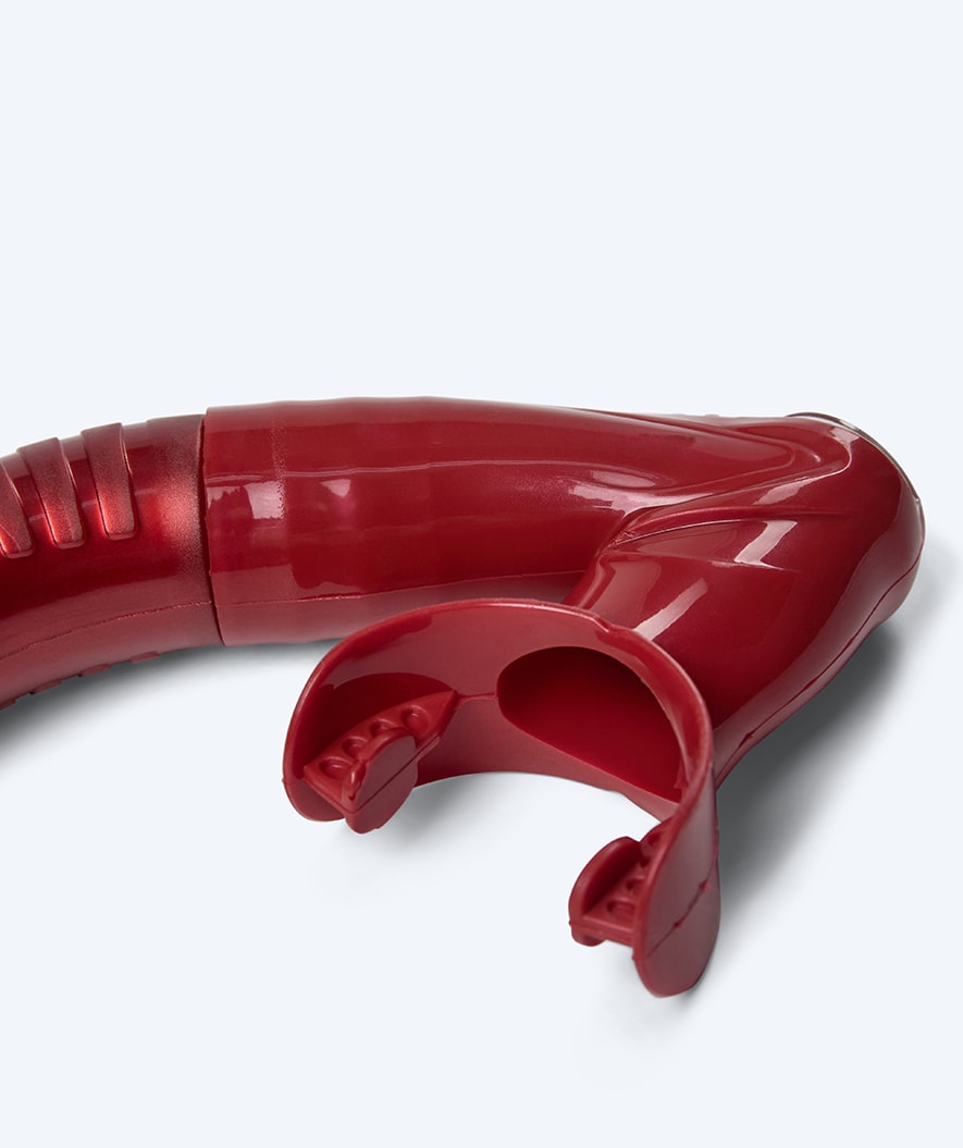 Watery snorkel for adults (from 15 years) - Coast - Red