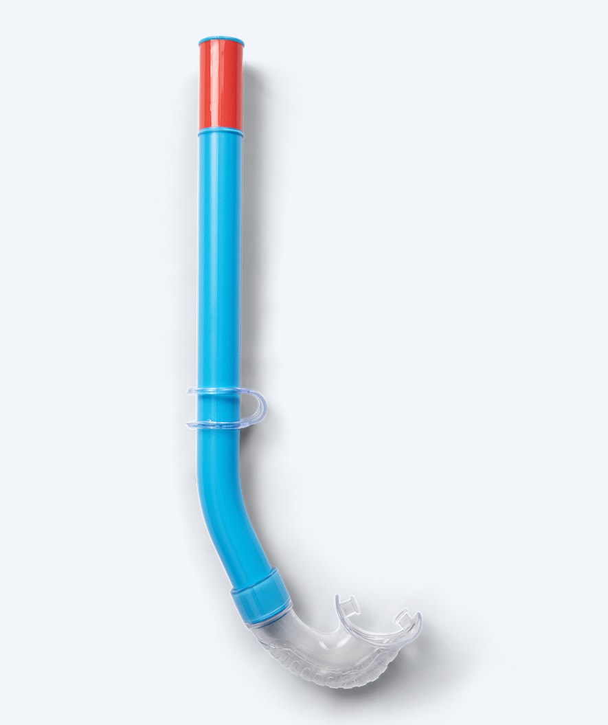 Watery snorkel for junior (8-15) - Misu - Blue