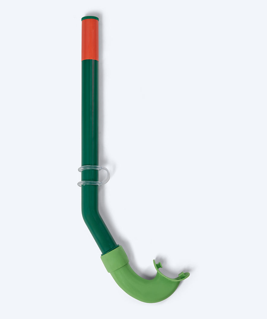 Watery snorkel for kids (4-10) - Pulina - Green