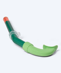 Watery snorkel for kids (4-10) - Pulina - Green