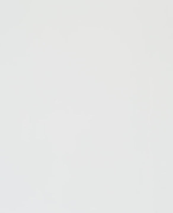 WateryInstinctSilverMirror_eada8c16-ce82-4189-8386-fbdb52f0a9eb.mp4