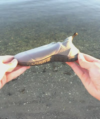 Waterybadeskotilbørn-HighCatfish-Grå.mp4