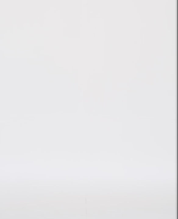 WateryBudgieEcobriefstildrenge-BlueSporty.mp4